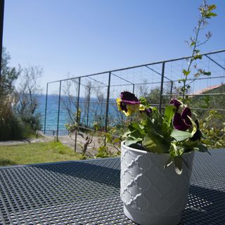 Apartments More Kozino II (5)