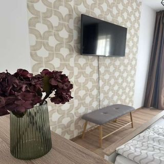 Apartament Family Haven Sighișoara (4)