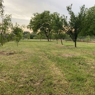 Martin Vendégház Arnót (5)