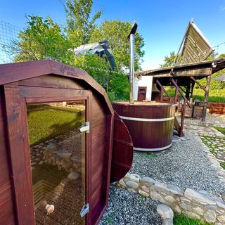 Curtea Țărănească Măldărești (5)