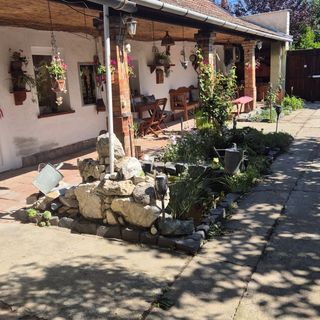 Tavirózsa Vendégház Szentes (3)