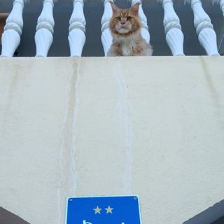 Room Art room Starigrad Paklenica (3)