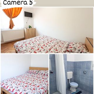 Casa Nikolics Sovata (5)