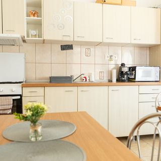 Casa Nikolics Sovata (4)