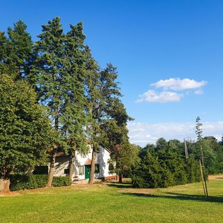 Csiszárhegyi Vadászház Karád (4)