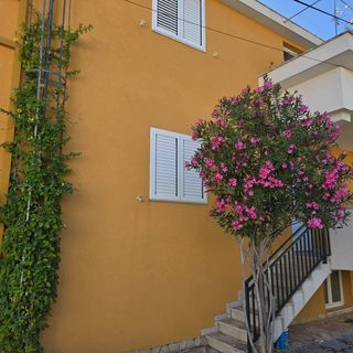 Apartments Sunflower by the sea Okrug Gornji (3)