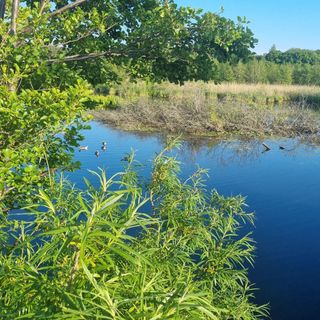 Green Port ADMUS Apartments for Rent (5)