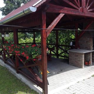 Casa 1 Mai Sovata (4)