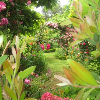 Apartmanok Parkolóhellyel Vir - 21512 (5)