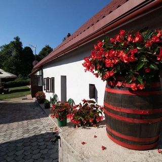 Apartmanok Családok Részére Medencével Lič, Gorski Kotar - 23685 Lič (4)