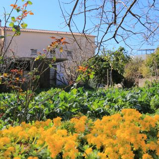 Családi Apartmanok A Tenger Mellett Podstrana, Split - 23954 Podstrana (5)