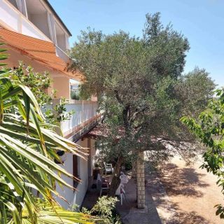 Apartments With Parking Space Palit, Rab - 24108 Palit (3)