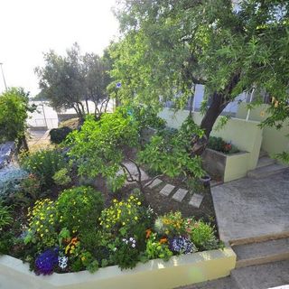 Apartmanok A Tenger Mellett Viganj, Peljesac - 24189 Viganj (3)