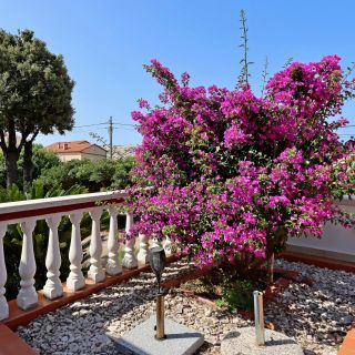 Apartments With Parking Space Barbat, Rab - 24215 Barbat (5)