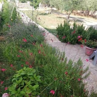 Apartmanok A Tenger Mellett Tkon, Pasman - 24280 Tkon (3)