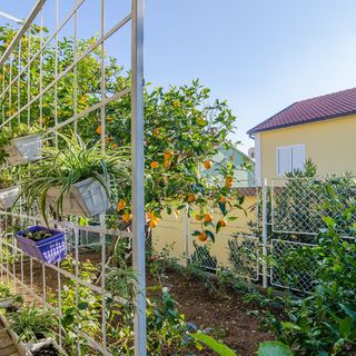 Apartmanok A Tenger Mellett Orebic, Peljesac - 24372 Orebić (4)