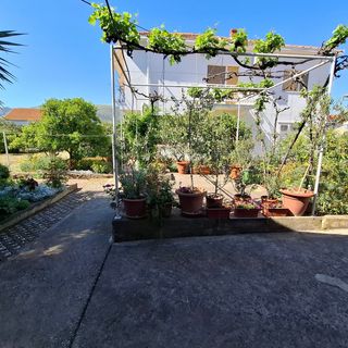 Apartmanok A Tenger Mellett Trogir - 24405 (3)