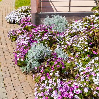 Apartmanok Parkolóhellyel Baska, Krk - 24415 Baška (5)