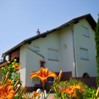 Apartmanok Parkolóhellyel Jasenak, Gorski Kotar - 24446 Jasenak (5)