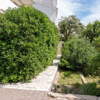 Apartmanok A Tenger Mellett Pag - 24467 (3)