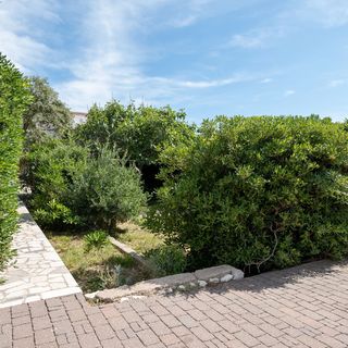 Apartmanok A Tenger Mellett Pag - 24467 (4)