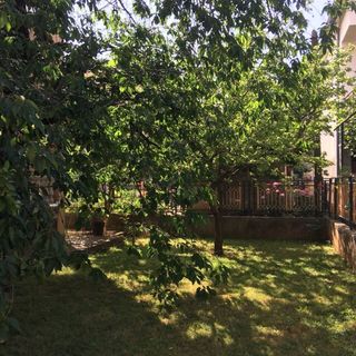 Apartmanok Parkolóhellyel Zadar - 24593 (2)