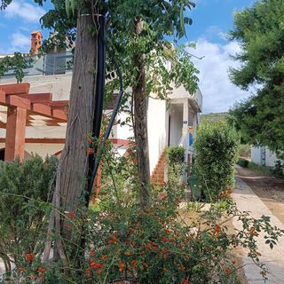 Családi Apartmanok A Tenger Mellett Brgulje, Molat - 24673 Brgulje (2)