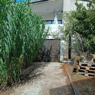 Családi Apartmanok A Tenger Mellett Brgulje, Molat - 24673 Brgulje (3)