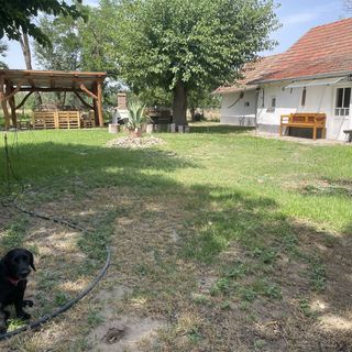 Fanni Kunyhója Ópusztaszer (5)