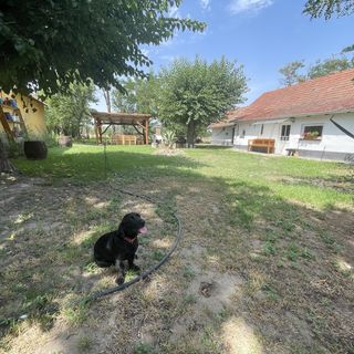 Fanni Kunyhója Ópusztaszer (3)