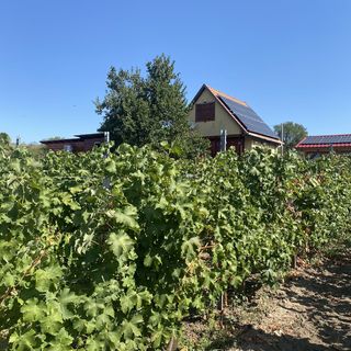 Néró Vendégház Polgárdi (4)