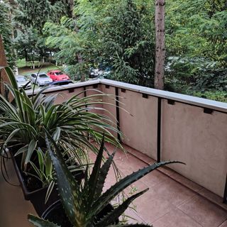 Apartament Confort Târgu Mureș (4)