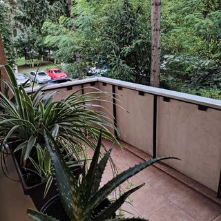 Apartament Confort Târgu Mureș (4)