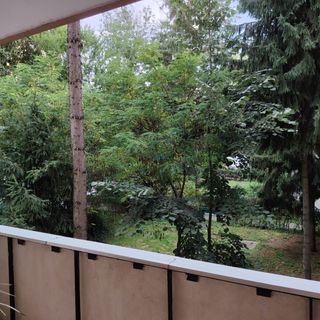 Apartament Confort Târgu Mureș (5)