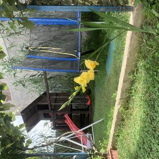 Casa Marina Sulina (4)