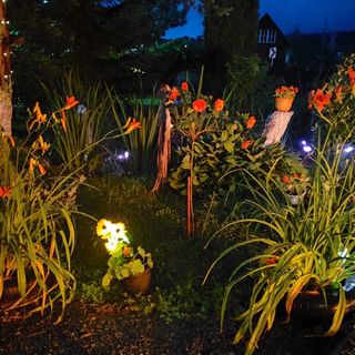 Casa Eden Garden Sovata (4)