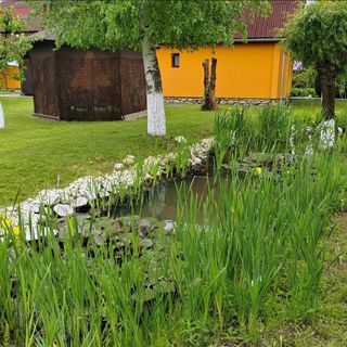 Casa Eden Garden Sovata (5)