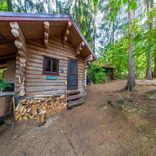 Forest Home Relax Borzont (4)