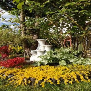 Dom Gościnny Roksana Rewal (5)