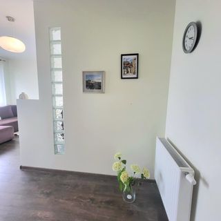 Adamant Apartament Szczecin (2)