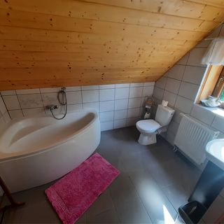 Pensjonat Sowi Dwór Nałęczów (4)