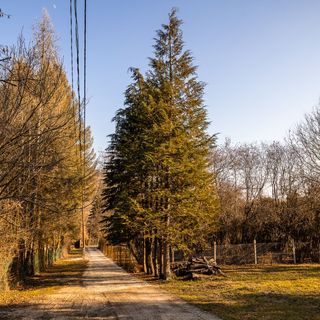 Szalamandra Vendégház Verőce (4)