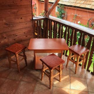 Pensiunea Simone Cârţişoara (5)