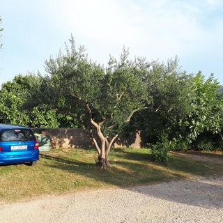 Apartments Petrica Jurandvor Baska (5)