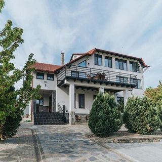 Vila Diplomat Cordău (5)