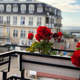 Hotel Chaton Mielno (3)