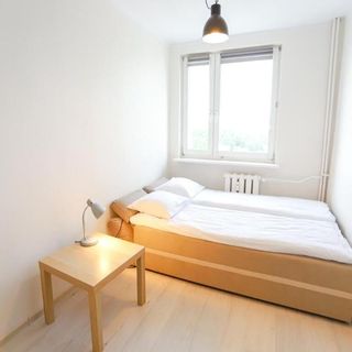 Apartament Zero zgiełku, blisko plaży i Starówki - z widokiem na panoramę miasta Olsztyn (5)