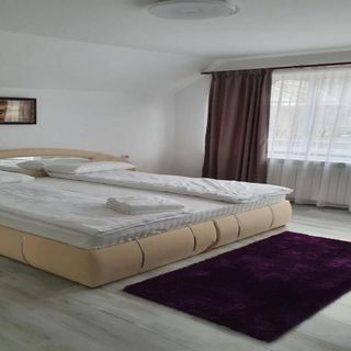 Casa Erma Moisei (4)