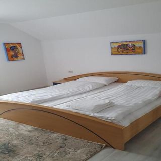 Casa Erma Moisei (5)