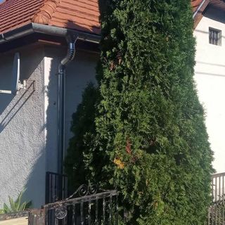 Fehér Ház Vendégház Kemence (3)